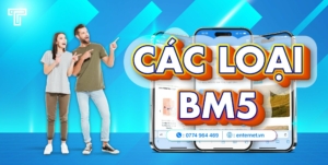 các loại BM5 là gì?