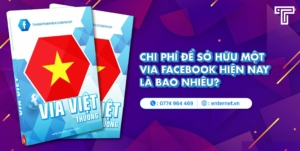 Chi Phí Để Sở Hữu Một VIA Facebook Hiện Nay Là Bao Nhiêu?