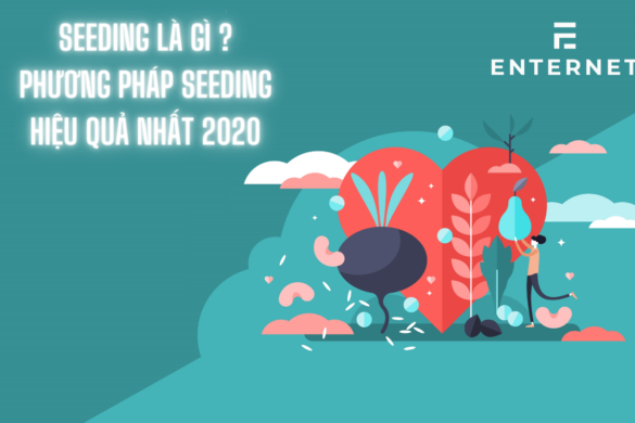 Seeding là gì ? Phương pháp seeding hiệu quả nhất từ A-Z 2022