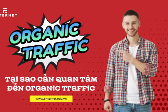 Organic Traffic là gì? Tại sao cần quan tâm đến organic traffic?