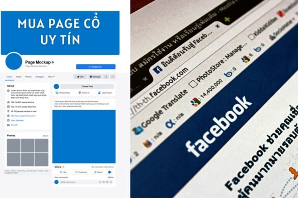 Page cổ là gì? Mua Page cổ uy tín tốt nhất