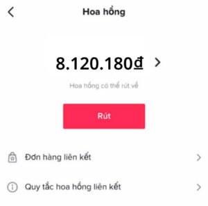 chay-quang-cao-affiliate-tiktok-13