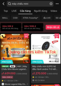 quang-cao-tim-kiem-tiktok-search-ads-01